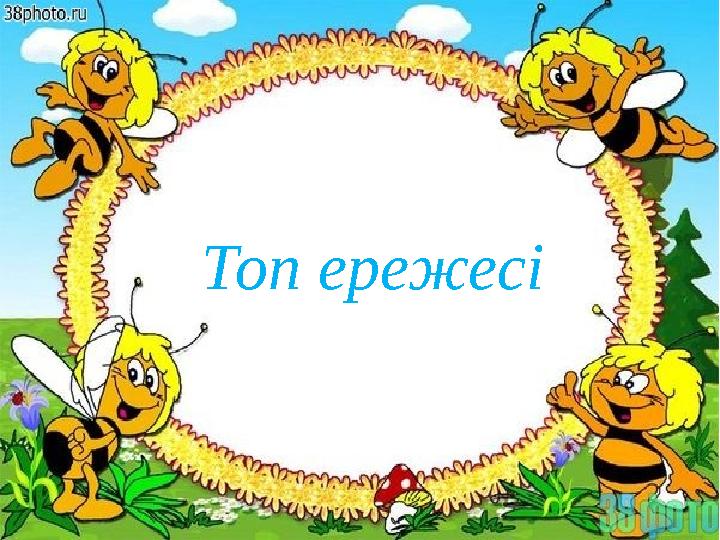 Топ ережесі