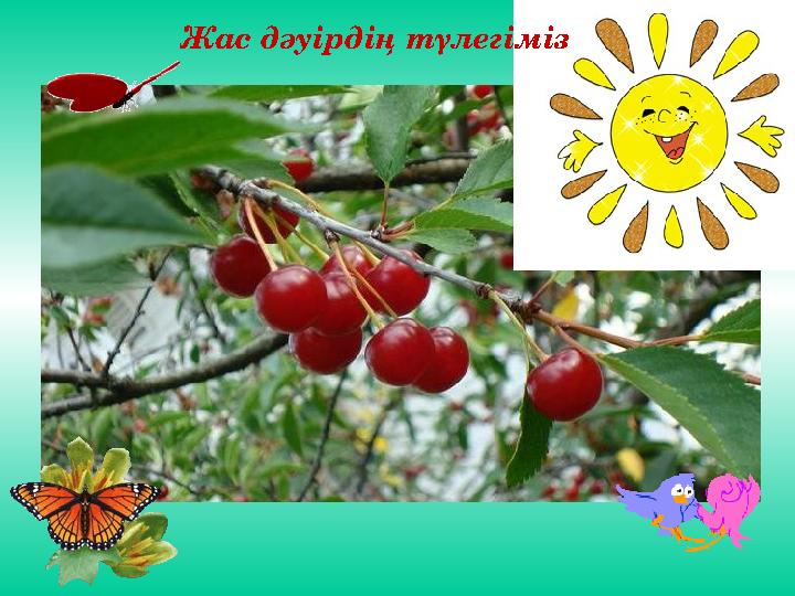 Жас дәуірдің түлегіміз