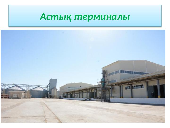 Астық терминалы