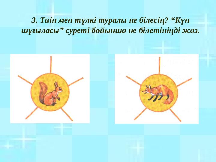 3. Тиін мен түлкі туралы не білесің? “Күн шұғыласы” суреті бойынша не білетініңді жаз.