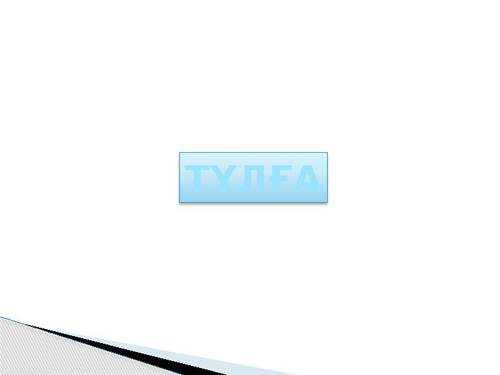 ТҰЛҒА