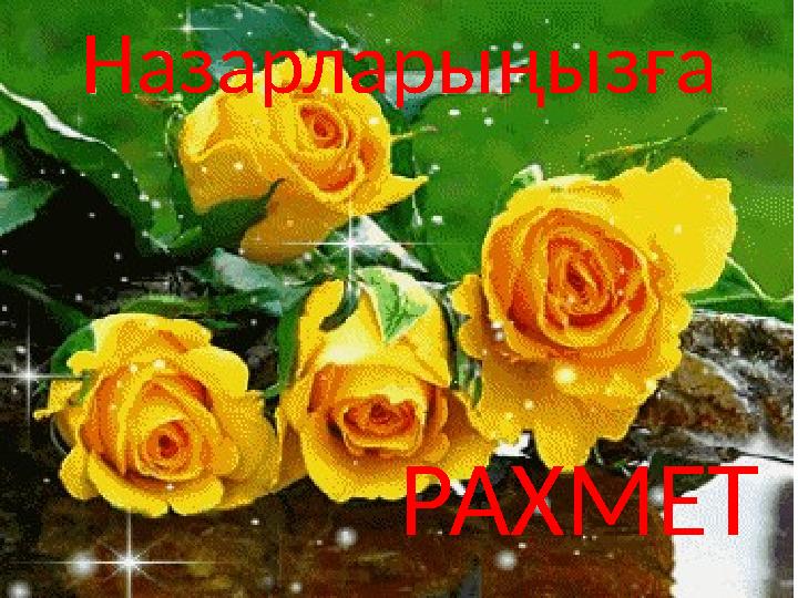 Назарларыңызға РАХМЕТ