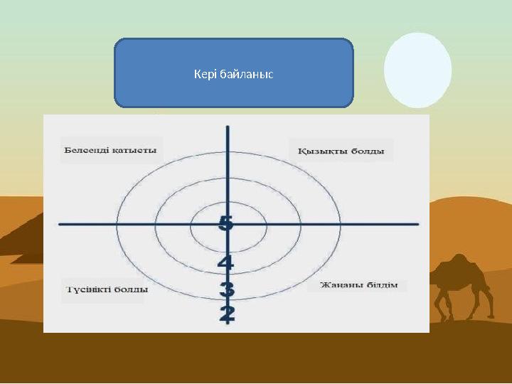 Кері байланыс