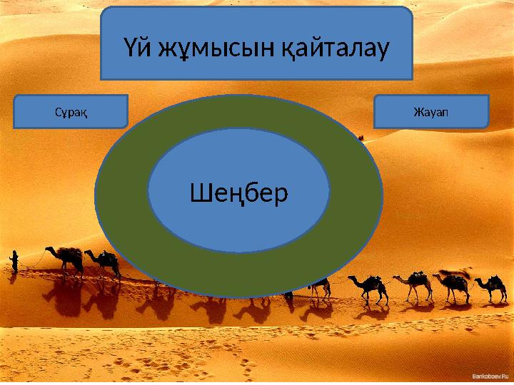 Үй жұмысын қайталау Шеңбер Сұрақ Жауап