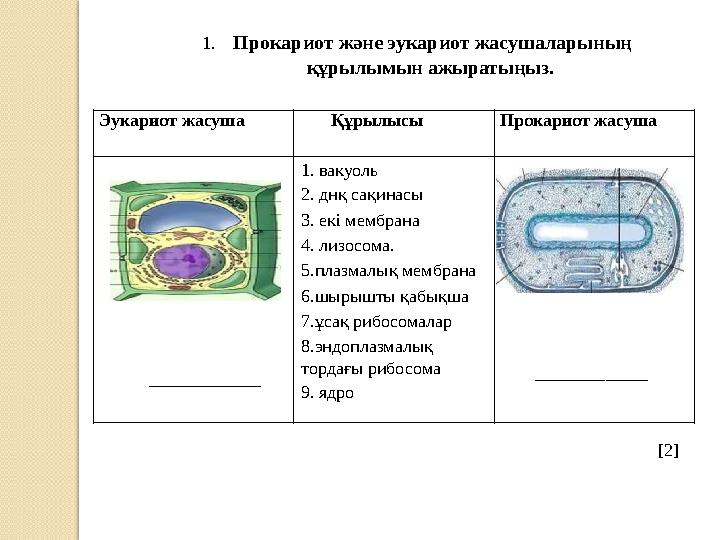 1. Прокариот және эукариот жасушаларының құрылымын ажыратыңыз. [2]Эукариот жасуша Құрылысы Прокариот жасуша 1. вакуол