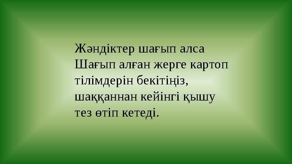 Жәндіктер шағып алса Шағып алған жерге картоп тілімдерін бекітіңіз, шаққаннан кейінгі қышу тез өтіп кетеді.