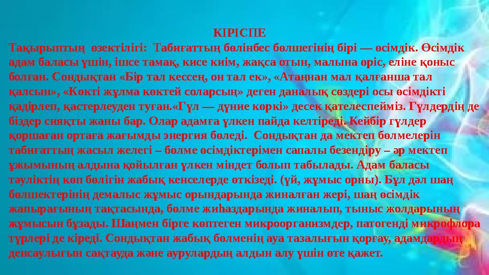 Ашуды басатын бөлме өсімдіктері Аспарагус – ауадағы кері әсерлерді жояды. Адамның көңіл-күйін жақсартып, сенімділік сезімін