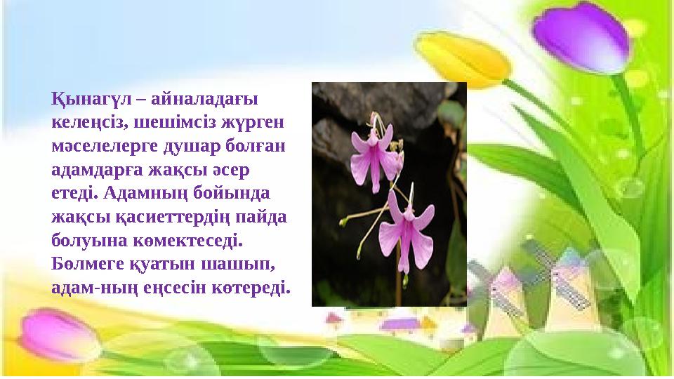 Қынагүл – айналадағы келеңсіз, шешімсіз жүрген мәселелерге душар болған адамдарға жақсы әсер етеді. Адамның бойында жақсы қ