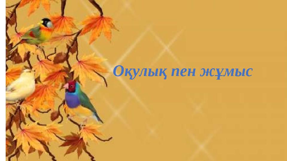 Оқулық пен жұмыс