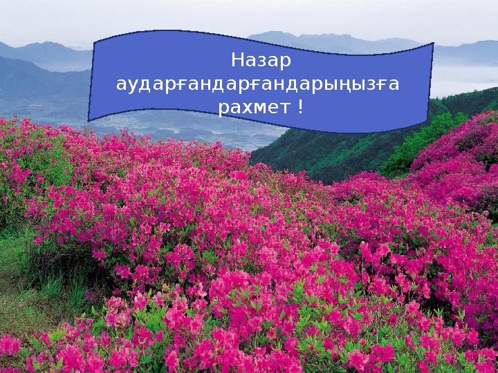 Қош келдініздер Назар аударғандарғандарыңызға рахмет !