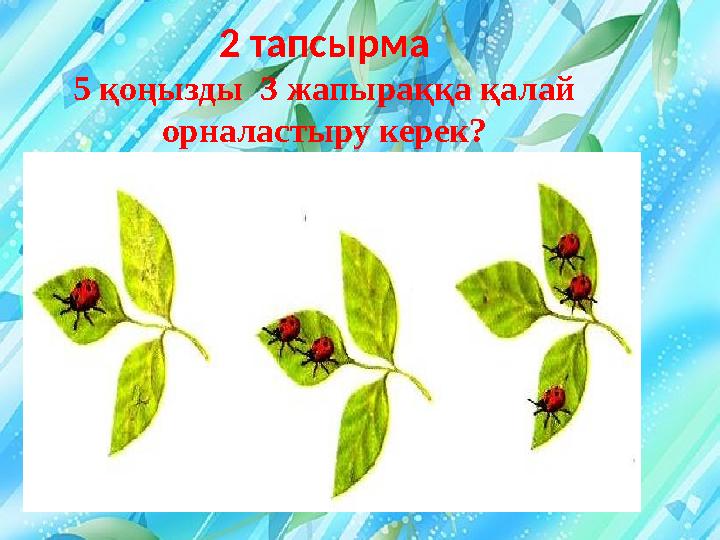 2 тапсырма 5 қоңызды 3 жапыраққа қалай орналастыру керек?