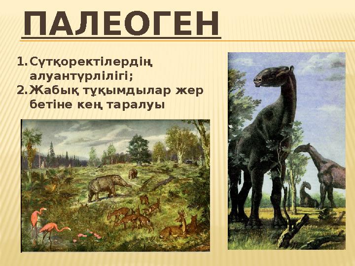 ПАЛЕОГЕН 1.Сүтқоректілердің алуантүрлілігі; 2.Жабық тұқымдылар жер бетіне кең таралуы