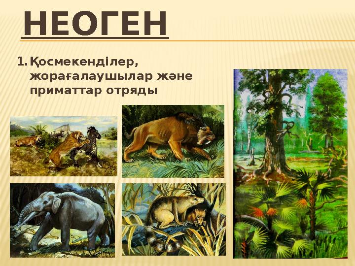 НЕОГЕН 1.Қосмекенділер, жорағалаушылар және приматтар отряды