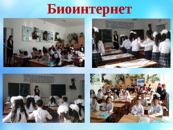 Биоинтернет