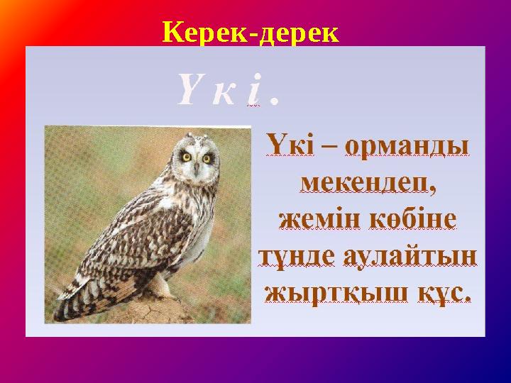Керек-дерек Үкі — қасиетті құс. Ертеден-ақ, үкінің қауырсынын «тіл-көз тимесін» деп баланың бесігіне, қыздың бөркіне, ал