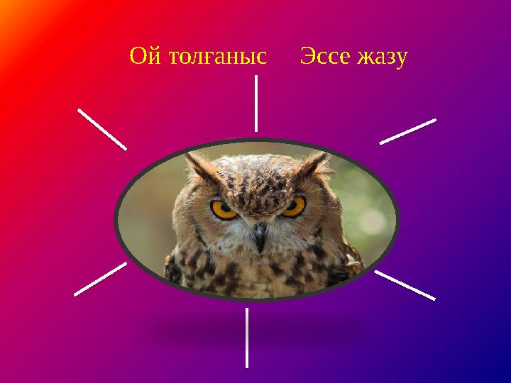 Ой толғаныс Эссе жазу