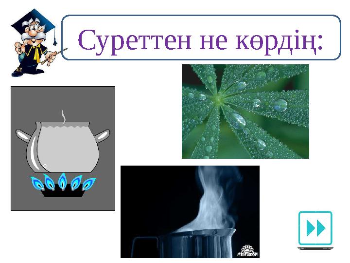 Суреттен не көрдің: