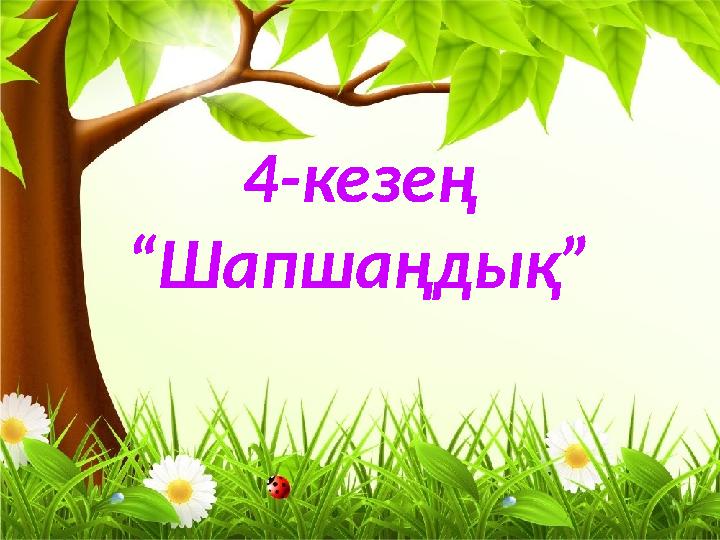 4-кезең “Шапшаңдық”