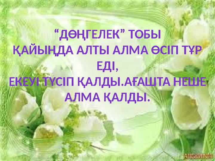 “ДӨҢГЕЛЕК” ТОБЫ ҚАЙЫҢДА АЛТЫ АЛМА ӨСІП ТҰР ЕДІ, ЕКЕУІ ТҮСІП ҚАЛДЫ.АҒАШТА НЕШЕ АЛМА ҚАЛДЫ.
