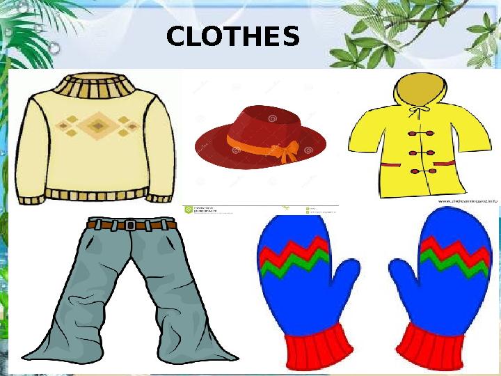 CLOTHES