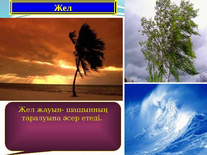 Жел Жел жауын- шашынның таралуына әсер етеді.