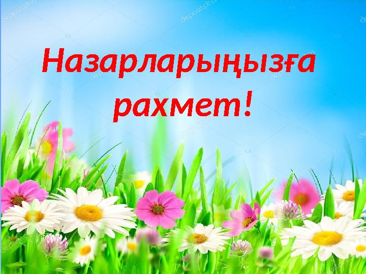 Назарларыңызға рахмет!