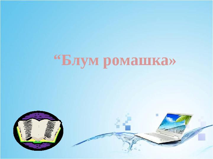 “Блум ромашка»