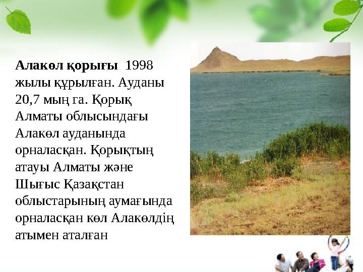 Алакөл қорығы 1998 жылы құрылған. Ауданы 20,7 мың га. Қорық Алматы облысындағы Алакөл ауданында орналасқан. Қорықтың атау