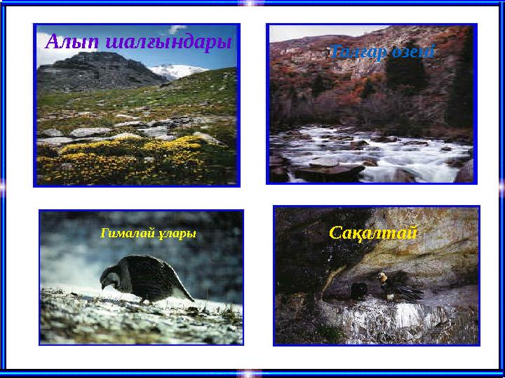 Гималай ұлары Алып шалғындары Талғар өзені Сақалтай