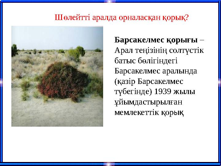 Барсакелмес қорығы – Арал теңізінің солтүстік батыс бөлігіндегі Барсакелмес аралында (қазір Барсакелмес түбегінде) 1939 жыл