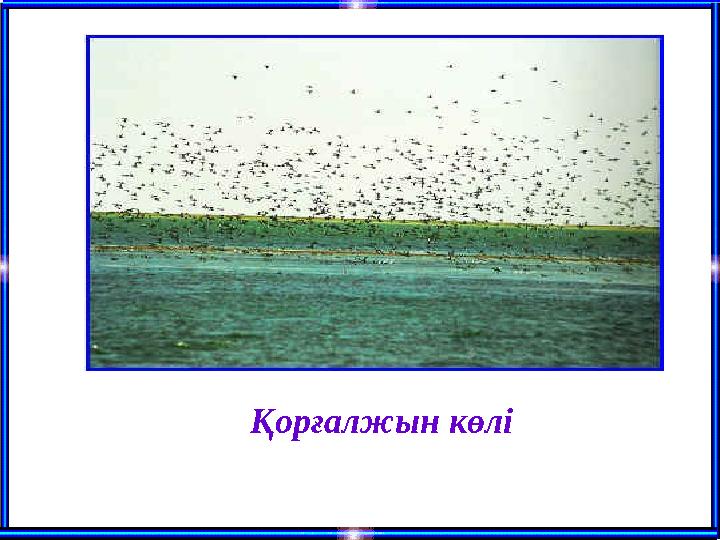 Қорғалжын көлі