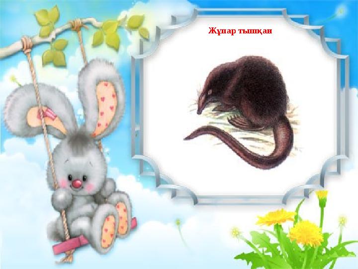 Жұпар тышқан