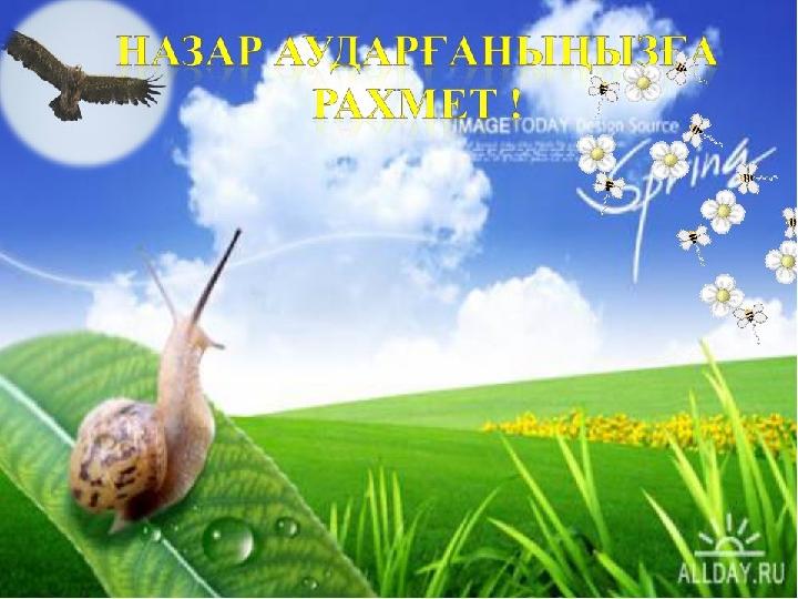 БАЛАЛАР, ОСЫМЕН “ҚАЗАҚСТАН ҚОРЫҚТАРЫ” АТТЫ АШЫҚ САБАҒЫМЫЗ АЯҚТАЛДЫ.