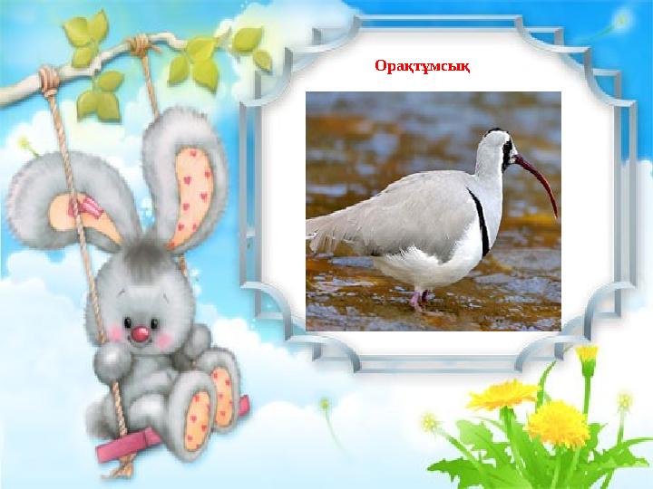 Орақтұмсық