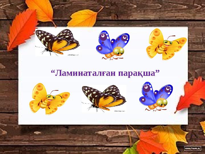 “Ламинаталған парақша”