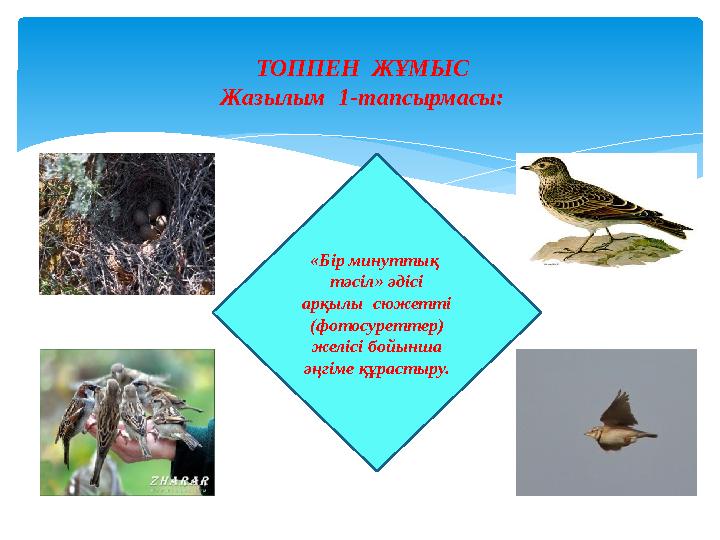 «Бір минуттық тәсіл» әдісі арқылы сюжетті (фотосуреттер) желісі бойынша әңгіме құрастыру. ТОППЕН ЖҰМЫС Жазылым 1-тапсы