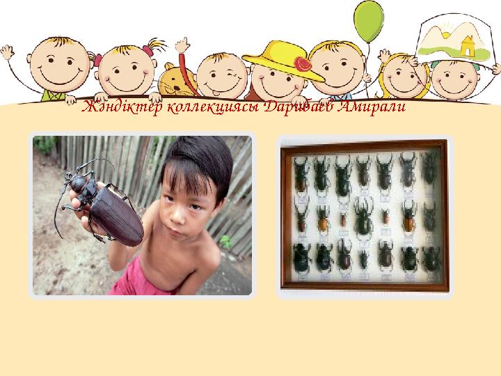 Жәндіктер коллекциясы Дарибаев Амирали