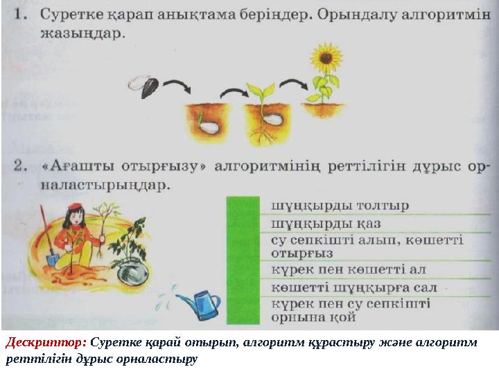 Дескриптор: Суретке қарай отырып, алгоритм құрастыру және алгоритм реттілігін дұрыс орналастыру
