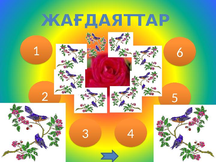 ЖАҒДАЯТТАР 1 2 4 3 5 6