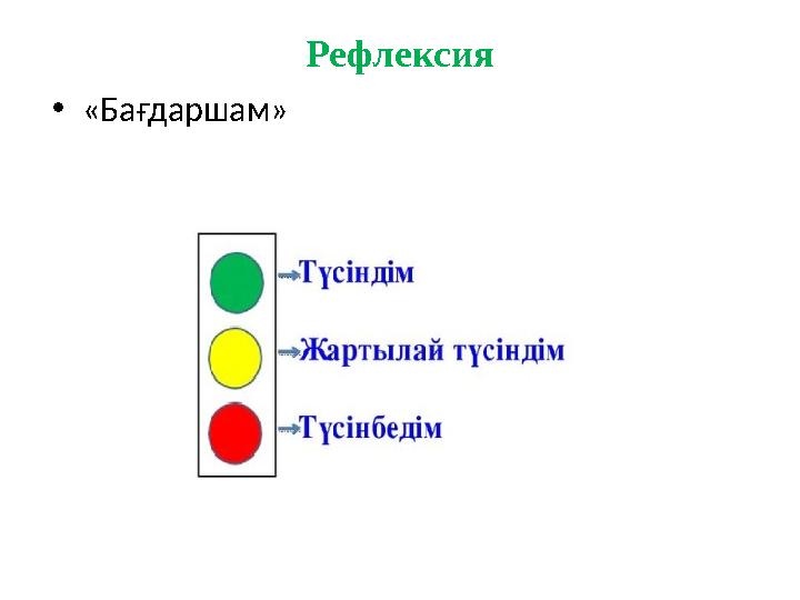 Рефлексия •«Бағдаршам»