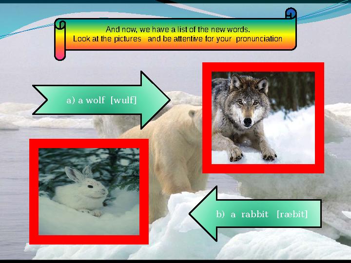 And now, we have a list of the new words. Look at the pictures and be attentive for your pronunciation a) a wolf [wulf] b)