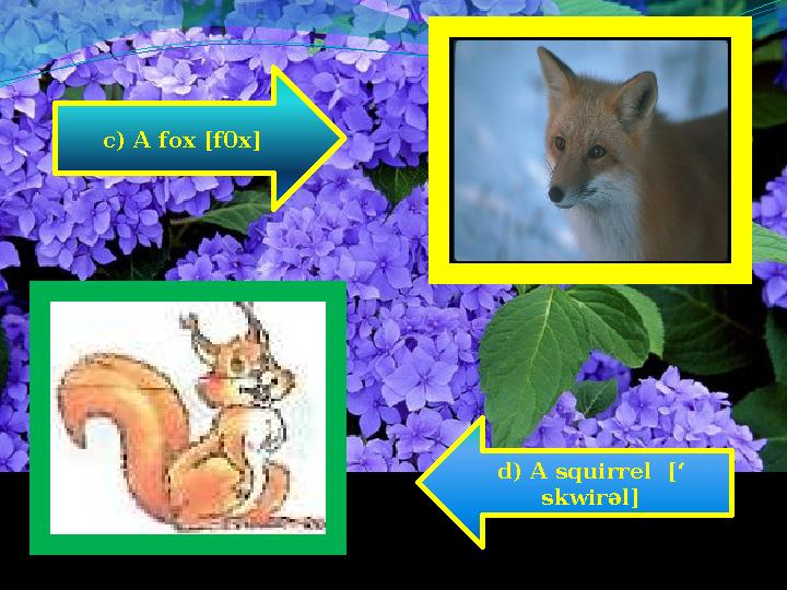 c) A fox [f0x] d) A squirrel [‘ skwirәl]