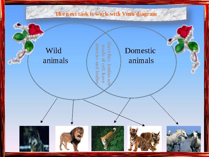 The next task is work with Venn diagram H a v e f u r , b o d i e s a r e m a d e o f c e l l , h a v e m u s