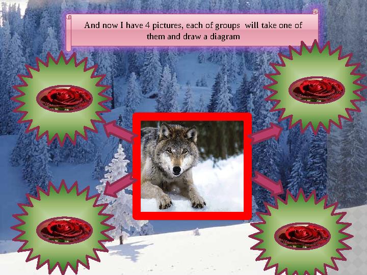 And now I have 4 pictures, each of groups will take one of them and draw a diagram strong big grey Wild