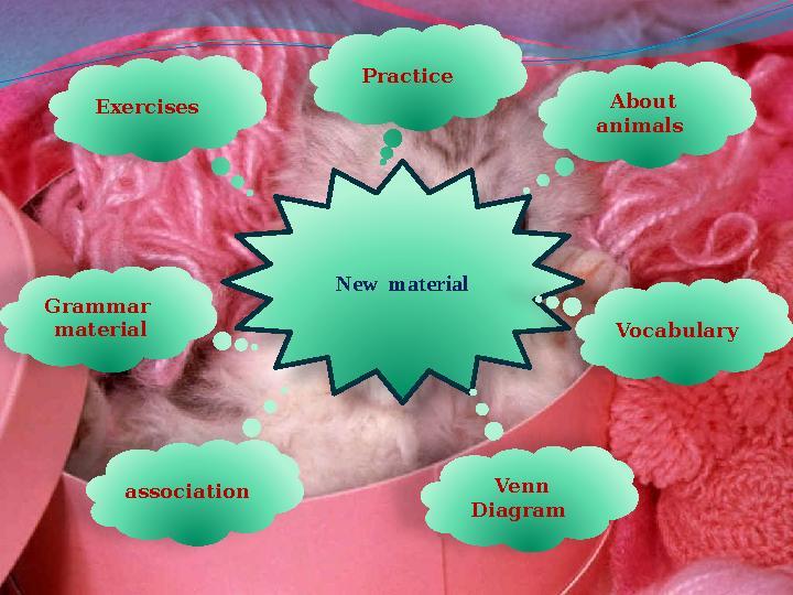 New material About animals Practice Vocabulary Venn Diagram association Grammar material Exerсises