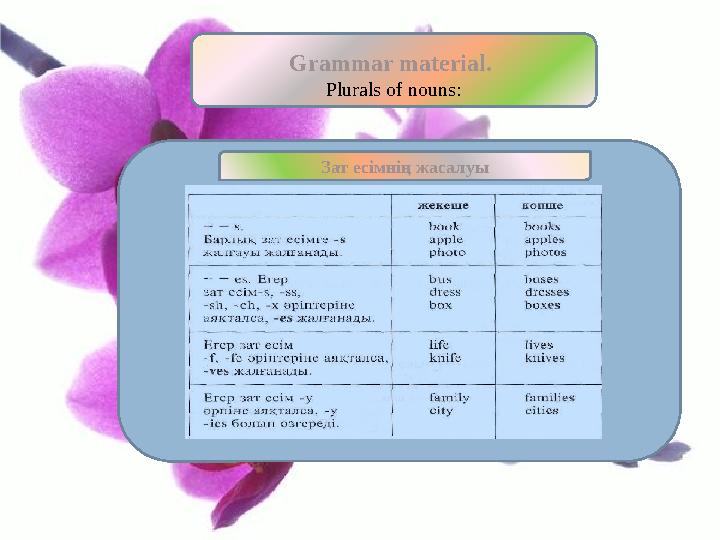 Grammar material. Plurals of nouns: Зат есімнің жасалуы