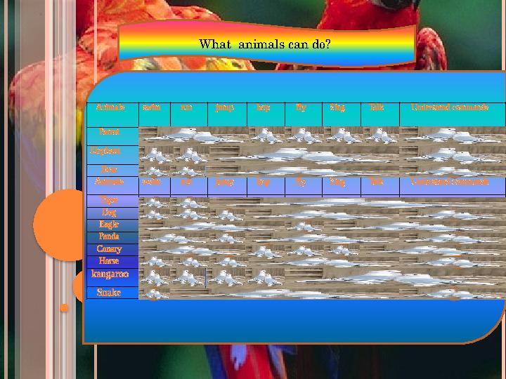 What animals can do? Animals swim run jump hop fly Sing Talk Understand commands Parrot Elephant