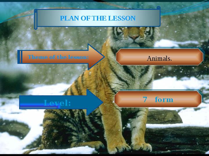 PLAN OF THE LESSON Theme of the lesson: Animals. Animals. Level:7 form 7 form