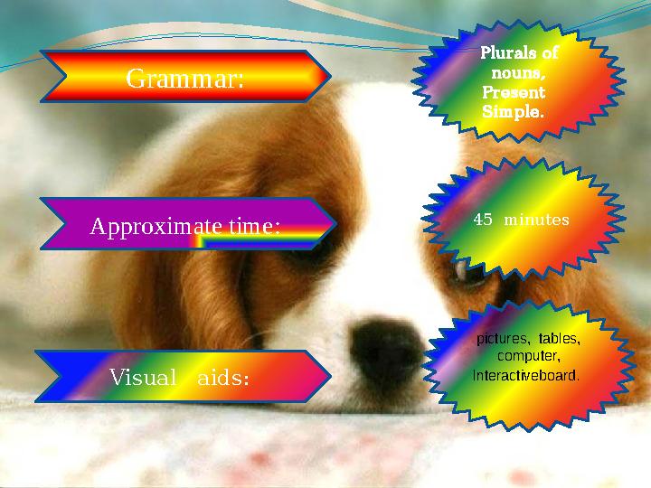 Grammar: Approximate time: Visual aids: Plurals of nouns, Present Simple. 45 minutes pictures, tables, computer, I