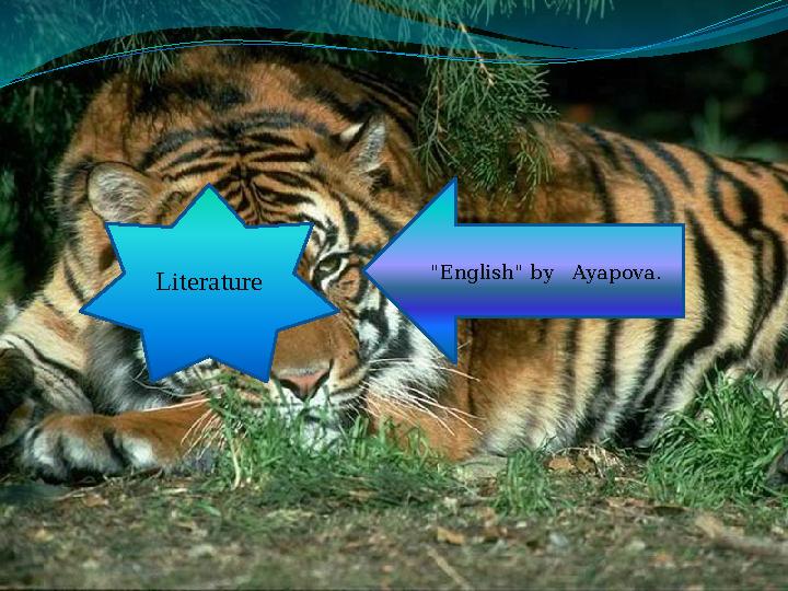 Literature "English" by Ayapova.